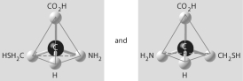 <strong>Which of the pairs of molecular structures shown below do NOT depict enantiomers (enantiomeric forms) of the same molecule?</strong> A) B) C) D) E)