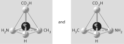 <strong>Which of the pairs of molecular structures shown below do NOT depict enantiomers (enantiomeric forms) of the same molecule?</strong> A) B) C) D) E)