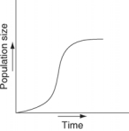 <strong>Which of the following graphs refer to this equation? \frac{d N}{d t}=0.5 \mathrm{~N} </strong> A) B) C) D) E)