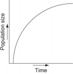 <strong>Which of the following graphs illustrates the growth curve of a small population of rodents that has grown to reach a static carrying capacity?</strong> A) B) C) D) E)