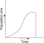 <strong>Which of the following graphs illustrates the growth curve of a population of snowshoe hares over several seasons in northern Canada?</strong> A) B) C) D) E)