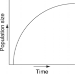 <strong>Which of the following graphs illustrates the growth curve of a population of snowshoe hares over several seasons in northern Canada?</strong> A) B) C) D) E)