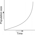 <strong>Which of the following graphs illustrates the growth curve of a population of snowshoe hares over several seasons in northern Canada?</strong> A) B) C) D) E)