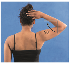 <strong>External shoulder rotation is demonstrated in which of the following figures?</strong> A) B) C) D)