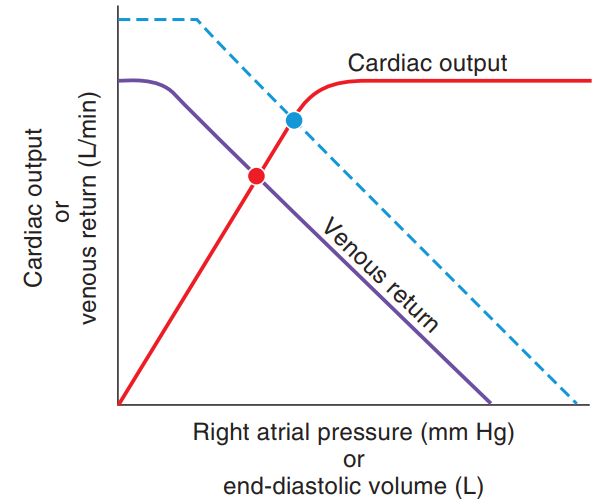 <strong>The change indicated by the dashed lines on the cardiac output/venous return curves shows Right atrial pressure (\mathrm{mm} \mathrm{Hg}) or end-diastolic volume (L)</strong> A) decreased cardiac output in the new steady state B) decreased venous return in the new steady state C) increased mean systemic pressure D) decreased blood volume E) increased myocardial contractility