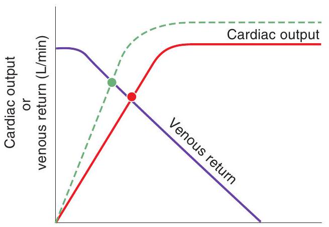 <strong> Right atrial pressure (\mathrm{mm} \mathrm{Hg}) -The dashed line in the figure illustrates the effect of</strong> A) increased total peripheral resistance (TPR) B) increased blood volume C) increased contractility D) a negative inotropic agent E) increased mean systemic pressure
