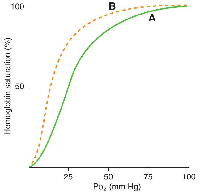 <strong> -On the accompanying graph, the shift from curve A to curve B could be caused by</strong> A) fetal hemoglobin (HbF) B) carbon monoxide (CO) poisoning C) decreased \mathrm{pH} D) increased temperature E) increased 2,3-diphosphoglycerate (DPG)