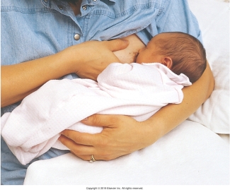 <strong>The nurse is teaching a postpartum patient different holds for breastfeeding. Which of the following figures depicts the football hold frequently used for patients who have had a cesarean birth?</strong> A) B) C) D)