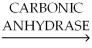 In the reaction shown, identify the role of each of the participants. CO₂ + H₂O   H₂CO₃ A.enzyme B.substrate(s) C.product(s) CO₂ + H₂O<div style=padding-top: 35px> 