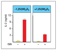 <strong>The vitamin D3 metabolite 1,25(OH)<sub>2</sub>D<sub>3</sub> binds to the vitamin D receptor (VDR). This complex then functions as a transcriptional regulator. The activation of VDR following treatment of cells with 1,25(OH)<sub>2</sub>D<sub>3</sub> has been found to modulate the activity of antigen-presenting dendritic cells. In one study, dendritic cells were isolated from wild-type mice and activated in vitro by stimulation with LPS plus IFN- \gamma in the presence or absence of 1,25(OH)<sub>2</sub>D<sub>3</sub> for 24 hours. These activated dendritic cells were then pulsed with a peptide from the chicken ovalbumin protein (OVA) that binds to MHC class II and is recognized by OT-II CD4 T cells. The peptide-pulsed dendritic cells and T cells were incubated together for 3 days, and then IL-2 levels in the supernatants were measured, as shown in Figure . Based on these data, dendritic cells activated in the presence of 1,25(OH)<sub>2</sub>D<sub>3</sub> are likely to show:</strong> A) Reduced MHC class II and reduced B7 expression compared to controls B) Enhanced expression of IL-12 compared to controls C) Reduced expression of IL-6 and TNF- \alpha compared to controls D) Increased expression of MHC class I and class II expression compared to controls E) Reduced expression of proteins involved in antigen presentation compared to controls