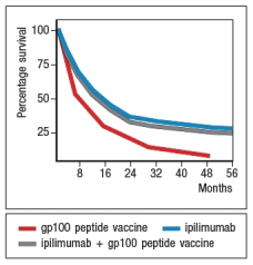 An area of cancer immunotherapy that is undergoing rapid development is the use of agents that function as checkpoint blockaders. These agents work by interfering with receptors on T cells that normally induce inhibitory signals that suppress T cell responses. For example, one clinical trial tested the effects of a drug known as ipilimumab, which is a human monoclonal antibody that binds to and inhibits CTLA-4, on patients with metastatic melanoma, a deadly form of skin cancer. A simplified version of these data are shown in Figure Q20). In this case, one group of patients received a peptide vaccine, comprised of a mixture of HLA class I-binding peptides derived from the melanoma antigen, gp100. A second group of patients received ipilimumab, and a third group received the gp100 peptide vaccine + ipilimumab. survival of ~20% of the patients receiving ipilimumab. However, based on the similarity in the data for the group of patients receiving ipilimumab plus the gp100 peptide vaccine versus those receiving ipilimumab alone, the most likely affect of the ipilimumab is: