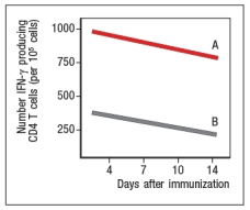 Early efforts to develop a vaccine against respiratory syncytial virus (RSV) using inactivated virus were unsuccessful. Antibody responses to the vaccine were poor, and were not protective against the natural infection. Studies in mice revealed a likely explanation for the poor performance of the inactivated RSV vaccine. For these studies, inactivated RSV was generated by UV-treatment of the virus, and was referred to as UVRSV. This UVRSV was compared to live RSV in a number of assays. First, mice were immunized by footpad (intradermal, also known as subcutaneous) injection of either UVRSV or live RSV, and dendritic cells from the draining lymph node were isolated 24 hours later. Cell lysates from these dendritic cells were prepared, and were immunoblotted for the levels of I \kappa B \alpha protein, the inhibitory subunit of the cytosolic complex of NF \kappa B that is degraded following stimulation of receptors that activate NF \kappa B. A loading control of \beta -actin is shown to indicate comparable amounts of total protein in each sample. a) Given these data, name two classes of receptors in dendritic cells that might account for the difference seen in the immunoblot. To examine further the different effects of the UVRSV versus live RSV immunization on dendritic cells, the dendritic cells were isolated from draining lymph nodes 24 hours after immunization and stained for surface expression of CD40 and the co-stimulatory B7 receptors. These data are shown in Figure as fold-increase over the levels of expression of these molecules detected on dendritic cells from unimmunized mice. Next, mice were immunized with live RSV or UVRSV, and CD4 T cells were isolated from draining lymph nodes on various days post-immunization. The T cells were examined for IFN- \gamma production in response to viral antigens mixed with antigen-presenting-cells by ELISPOT, and the numbers of responding cells at each time point were graphed, as shown in Figure. b) Which data (A or B) represents the live RSV versus the UVRSV, and why? To determine which dendritic cell pathway might be important for the improved responses to live RSV compared to UVRSV, live RSV was used to immunize mice with reduced expression of the adapter protein, MyD88, and the responses of the Myd88+/- mice were compared to wild-type immunized mice. In these studies, anti-RSV antibodies in sera of immunized mice were tested for their ability to neutralize infectious virus in an in vitro assay, as shown in Figure. Log2PRNT indicates the amount the sera can be diluted before it loses the ability to neutralize 50% of the infectious virus in each sample, on a log2 scale (i.e., the higher the value the more potent the sera is for neutralizing virus). c) Based on these data, what is the likely identity of the receptor family required for live RSV immunization to produce neutralizing antibodies to RSV? To determine whether the pathway identified above was responsible for the more robust response to live RSV compared to UVRSV, mice were immunized with UVRSV alone, UVRSV in combination with alum, or UVRSV in combination with synthetic double-stranded RNA (poly I:C) plus synthetic single-stranded RNA (poly U). The sera from these mice were then tested for their ability to neutralize infectious RSV, in comparison to sera from unimmunized mice or mice immunized with live RSV, as shown in . d) Do these data support or refute your answer to question (c) above? Do they implicate any specific receptors in the pathway required to generate a robust neutralizing antibody response to RSV?