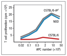 A mouse model of spontaneous rheumatoid arthritis (RA) was fortuitously discovered when a T-cell receptor transgenic mouse line made in C57BL/6 mice (KRN) was crossed to the NOD strain. These mice, known as KxN, developed RA beginning at about 4-5 weeks of age. The disease symptoms included joint swelling, infiltration of inflammatory cells, with eventual deterioration of bone and cartilage. As a first experiment to determine the mechanism leading to this autoimmune response, KRN<sup>+</sup> CD4 T cells were isolated from C57BL/6 mice and were stimulated in vitro with purified APCs from wild-type C57BL/6 mice, NOD mice, or C57BL/6 mice expressing the NOD MHC class II allele, I-A<sup>g7</sup> (C57BL/6-A<sup>g7</sup>). After three days, the T cultures were pulsed with <sup>3</sup>H-thymidine, and cpm incorporated were measured to assess T cell proliferation, as shown in Figure Q3)31)A. Furthermore, the CD4 T cell compartment in KxN mice was examined, and compared to KRN-transgenic negative littermate control mice. Whereas the littermate controls generally had 16-22% CD4 T cells in their spleens, KxN had 5-7% CD4 T cells, all of which expressed the KRN T-cell receptor. a) What do these data indicate about the mechanism(s) of self-tolerance acting on KRN T-cell receptor-positive CD4 T cells in the KxN mice? receptor recognized a peptide of a ubiquitous self-antigen (glucose-6-phosphate isomerase; GPI) bound to the NOD MHC class II allele, I-A<sup>g7</sup>. In addition, the sera of the KxN mice were found to have circulating IgG antibodies to GPI. To address whether T cells or B cells were required for autoimmune disease initiation and/or progression, a series of studies were performed. In one study, CD4 T cells were eliminated in young KxN mice by injection of a cell-depleting anti-CD4 antibody (or an isotype control antibody), and disease progression was monitored. In a second study, anti-CD4 antibody was injected into KxN mice after disease symptoms had already appeared. The mice were then monitored for the ensuing several weeks. In a third study, KxN mice were crossed to a line of mice with a mutation in the immunoglobulin locus that blocks all B cell development. KxN B-cell-deficient mice were then compared to KxN B-cell-sufficient mice for the development of RA symptoms. These data are shown in Figure. b) What do these data indicate about the role of T cells, B cells, and antibodies in the development and disease progression of RA in this mouse model? In a next experiment, sera from KxN arthritic mice or non-arthritic control mice were isolated, and injected into RAG-deficient recipients. Recipient mice were then monitored for clinical disease, and were scored on a scale of 1-5 every 3 days, as shown in Figure ; 1 = mildest disease to 5 = severe disease. c) What do these data, together with the data shown above, indicate about the pathogenic mechanisms operating in this model of RA? In a final set of studies, potential effector mechanisms resulting in joint inflammation and destruction were examined. Serum from KxN arthritic mice was injected into Rag-deficient recipients that were lacking expression of the complement component C3 or the neutrophil chemokine receptor CXCR2. Disease progression was monitored after serum injection and compared to that seen following KxN serum injection into control Rag-deficient recipients as shown in . d) What do these data indicate about the disease mechanism in this model of RA? e) Given all of these data, what is the likely role of the KRN<sup>+</sup> CD4 T cells in this disease model?