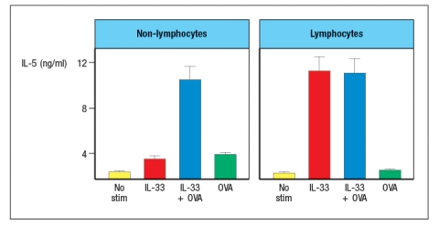 IL-33 is a cytokine known as an 'alarmin'. Following stimulation by pathogens or allergens, or in response to damage, epithelial cells in the skin, lungs, and gastrointestinal tract will release IL-33. This cytokine binds to its receptor, which is expressed on several cell types important in type 2 immune responses. When mice are injected with recombinant IL-33 once per day for 7 days (or saline as a control), specific cytokines are found elevated in multiple tissues and in their serum. An example of data from lung is shown in Figure Q26)A, with cytokine mRNA being measured by RT-PCR. Other cytokines, such as IL-2, IL-4, IL-6, IL-10, IL-12, TNF- \alpha , and IFN- \gamma were not altered by IL-33 injection. a) Name three cell types that are likely to express IL-33 receptors. These experiments were repeated using Rag-deficient mice, in comparison to wild-type controls. When cytokines were analyzed after IL-33 treatment of Rag-deficient mice, similar amounts of the same cytokines were observed as seen in wild-type controls. b) Do these data affect your answer to part (a) above? Why or why not? When IL-33-deficient mice were compared to wild-type controls in a mouse model of chronic airway inflammation, disease symptoms were reduced in IL33<sup>-/-</sup> mice. In this model, chicken ovalbumin protein (OVA) is mixed with a TH2-inducing adjuvant, and used to sensitize mice by intraperitoneal injection. Four weeks later, mice are challenged intranasally with OVA or saline alone on days 28, 29, and 30. The number of cells in the bronchiolar lavage fluid is then assessed, as shown in Figure . c) Given these data, as well as the cytokine data above, what are two important functions of IL-33? Leukocytes are isolated from the lung epithelium of wild-type mice in which chronic airway inflammation has been induced to OVA. The cells are separated into two subsets: lymphocytes and non-lymphocytes. Then each population is stimulated in vitro with IL-33 in the presence or absence of OVA protein, and 48 hours later the cytokines in the supernatants are assessed by ELISA. The results are shown in Figure for one cytokine. Similar data were obtained for IL-9 and IL-13. d) What are the likely cell types responding in each isolated population?