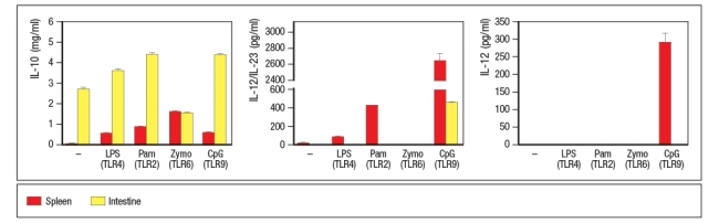 Macrophages were isolated from the spleen or the intestinal lamina propria, and stimulated in vitro with the indicated TLR ligands. Twenty-four hours later, the culture supernatants were tested for the amounts of IL-10, the IL-12p40 subunit (shared between IL-12 and IL-23), and for IL-12, and the results are shown in Figure . These data indicate that the lamina propria macrophages: