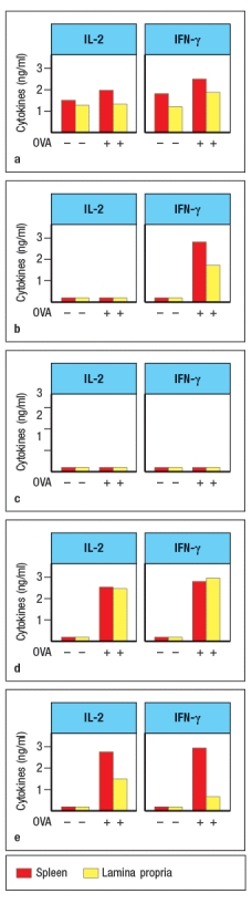 In a second experiment, the isolated splenic and lamina propria macrophages were treated with LPS and then incubated with the protein antigen, chicken ovalbumin. CD4 T cells specific for a peptide of ovalbumin (OVA) bound to MHC class II were then incubated with each population of macrophages, and three days later, the culture supernatants were analyzed for IL-2 and IFN- \gamma production. Which of the graphs in Figure most likely represents the results of this experiment?