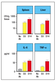 Like wild-type (WT) mice, Rag-deficient mice have large numbers of commensal microbes in their gastrointestinal (GI) tract that remain contained in restricted to anatomical locations associated with the GI tract. However, when Rag-deficient mice are treated with a depleting antibody that eliminates all lymphocytes from the animals, these mice suffer from dissemination of commensal bacteria to peripheral organs, such as spleen and liver, and show evidence of systemic inflammation as shown by cytokine levels in the serum. ND, not detected; D3, day 3 post-antibody injection; D14, day 14 post-antibody injection. a) What are the cells in Rag-deficient mice, that, when depleted by the antibody injection, cause bacterial dissemination and systemic inflammation? In a follow-up study, the Rag-deficient mice were treated with a blocking antibody to neutralize a cytokine (cytokine Z) known to be produced by lymphocytes. On day 14 post-antibody injection, the spleen and liver of the mice were analyzed for numbers of bacteria, and the results are shown in Figure : b) What is the likely identity of cytokine Z? In a second follow-up study, Rag-deficient mice were crossed to a knockout for a transcription factor (Factor X) also known to be expressed in some lymphocytes. Lamina propria lymphocytes were isolated from wild-type mice, Rag-deficient mice, Factor-X-deficient mice, and double Rag/Factor-X deficient mice, and mRNA was prepared from the cells. RT-PCR was then used to determine the mRNA transcript levels for cytokine Z in all four lymphocyte populations, and the results are shown in Figure. c) What is the likely identity of Factor X? In a final experiment, the entire small intestine of wild-type mice, Rag-deficient mice, or Factor X-deficient mice is isolated and processed for mRNA, which is then used in RT-PCR experiments. Expression levels of mRNA encoding RegIII \beta and RegIII \gamma are assessed in these samples; the results are shown in Figure. d) What do these data indicate about the regulation of RegIII \beta and RegIII \gamma expression? Which cells are expressing RegIII \beta and RegIII \gamma ?