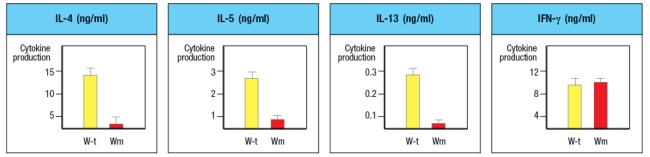 A mouse line (called 'Wm') is discovered that has an unexpected immunodeficiency. Genetic studies indicate that the immunodeficiency is due to a single gene defect. The Wm mice have normal numbers of all immune cell lineages, including T cell, B cells, macrophages, dendritic cells, NK cells, and granulocytes. When infected with viruses or intracellular bacteria and protozoa, the Wm mice mount normal protective T cell responses and clear the infections. However, given a helminthic parasite infection, the Wm mice cannot clear the infection and succumb to the disease. A set of wild-type (WT) and Wm mice were infected with the helminthic parasite, Nippostrongylus brasiliensis, and cytokine production by the CD4 T cells was analyzed. For this experiment, CD4 T cells were isolated from mice at day 8 post-infection, stimulated in vitro for 24 hr stimulation with anti-CD3 antibody to elicit cytokine secretion, and then cytokine levels in the culture supernatants were examined by ELISA. The results are shown in Figure. a) What process is likely defective in the Wm mice? b) Which molecules are the best candidates for the defective gene in Wm mice? Note that the transcription factor GATA-3 is not a likely candidate gene, as GATA-3-deficient mice have an early block in T cell development in the thymus, and completely lack all T cells.and Wm mice and were stimulated in vitro with anti-CD3 plus anti-CD28 antibodies, in the presence of additional cytokines and blocking antibodies as indicated. After three days of stimulation, the T cells are isolated, washed, and restimulated with anti-CD3 antibody in medium lacking any cytokines or antibodies. After 24 hr, the cytokines present in the supernatants of these restimulated CD4 T cells are examined by ELISA. These data are show in Figure. c) Do these results change your answers to parts (a) or (b) above? To continue to identify the molecule or pathway defective in Wm T cells, CD4 T cells are isolated from Wm mice and stimulated in vitro with anti-CD3 + anti-CD28 antibodies in the presence of IL-4 and anti-IFN- \gamma antibody, as above. One day later, the cells are transduced with a vector expressing the transcription factor GATA3. From this vector, GATA3 will be expressed constitutively and at high levels, in all of the T cells. As a control, an 'empty' vector (not containing GATA-3) is also transduced into Wm CD4 T cells. Three days later, the cells are washed and restimulated for cytokine secretion analysis by ELISA, as above. Additionally, flow cytometry analysis of naive wild-type and Wm CD4 T cells stained with an antibody to the IL-4 receptor was performed, and the results are shown.and Wm CD4 T cells was then performed to examine the expression of the four Jak-family tyrosine kinases required for downstream signaling induced by the cytokine receptors expressed on T cells. The results from these experiments are shown in Figure. d) With the new information provided by the data shown above, name the most likely candidate molecule for the defect in Wm T cells, and explain your reasoning.