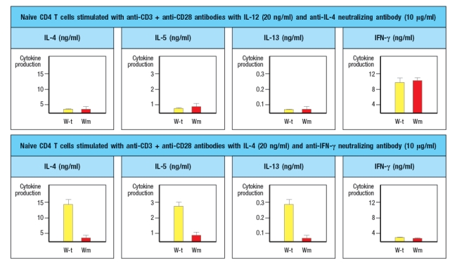 A mouse line (called 'Wm') is discovered that has an unexpected immunodeficiency. Genetic studies indicate that the immunodeficiency is due to a single gene defect. The Wm mice have normal numbers of all immune cell lineages, including T cell, B cells, macrophages, dendritic cells, NK cells, and granulocytes. When infected with viruses or intracellular bacteria and protozoa, the Wm mice mount normal protective T cell responses and clear the infections. However, given a helminthic parasite infection, the Wm mice cannot clear the infection and succumb to the disease. A set of wild-type (WT) and Wm mice were infected with the helminthic parasite, Nippostrongylus brasiliensis, and cytokine production by the CD4 T cells was analyzed. For this experiment, CD4 T cells were isolated from mice at day 8 post-infection, stimulated in vitro for 24 hr stimulation with anti-CD3 antibody to elicit cytokine secretion, and then cytokine levels in the culture supernatants were examined by ELISA. The results are shown in Figure. a) What process is likely defective in the Wm mice? b) Which molecules are the best candidates for the defective gene in Wm mice? Note that the transcription factor GATA-3 is not a likely candidate gene, as GATA-3-deficient mice have an early block in T cell development in the thymus, and completely lack all T cells.and Wm mice and were stimulated in vitro with anti-CD3 plus anti-CD28 antibodies, in the presence of additional cytokines and blocking antibodies as indicated. After three days of stimulation, the T cells are isolated, washed, and restimulated with anti-CD3 antibody in medium lacking any cytokines or antibodies. After 24 hr, the cytokines present in the supernatants of these restimulated CD4 T cells are examined by ELISA. These data are show in Figure. c) Do these results change your answers to parts (a) or (b) above? To continue to identify the molecule or pathway defective in Wm T cells, CD4 T cells are isolated from Wm mice and stimulated in vitro with anti-CD3 + anti-CD28 antibodies in the presence of IL-4 and anti-IFN- \gamma antibody, as above. One day later, the cells are transduced with a vector expressing the transcription factor GATA3. From this vector, GATA3 will be expressed constitutively and at high levels, in all of the T cells. As a control, an 'empty' vector (not containing GATA-3) is also transduced into Wm CD4 T cells. Three days later, the cells are washed and restimulated for cytokine secretion analysis by ELISA, as above. Additionally, flow cytometry analysis of naive wild-type and Wm CD4 T cells stained with an antibody to the IL-4 receptor was performed, and the results are shown.and Wm CD4 T cells was then performed to examine the expression of the four Jak-family tyrosine kinases required for downstream signaling induced by the cytokine receptors expressed on T cells. The results from these experiments are shown in Figure. d) With the new information provided by the data shown above, name the most likely candidate molecule for the defect in Wm T cells, and explain your reasoning.