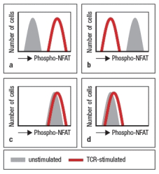 Using an antibody that recognizes the phosphorylated, but not the non-phosphorylated form of the transcription factor, NFAT, T cells are permeabilized, stained with this antibody, and analyzed by flow cytometry. Which of the data in Figure represent the expected pattern of staining from wild-type T cells before and after TCR stimulation.