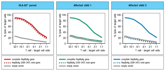 A family of six (mother, father, and four children) had two children with a history of chronic illness. Both children had repetitive infections of the sinuses, middle ears, and lungs due to a variety of respiratory viruses. Their other siblings were generally healthy and showed no signs of persistent or recurrent virus infections.   The two affected children had normal numbers of B cells, T cells, and NK cells in their blood. They also showed no defects in neutrophil function or in complement protein levels. The two children also had normal antibody levels to vaccine protein antigens, such as tetanus toxoid, and had normal T cell responses to antigens from the vaccine strain of Mycobacterium tuberculosis after being vaccinated. Blood cells from one parent, one healthy child and the two affected children were examined for surface MHC protein expression by flow cytometry using two antibodies, one that recognizes all HLA class I proteins, and one that recognizes all HLA class II proteins. The results are shown in Figure     a) Analysis of HLA genotypes from the two affected children showed that they shared one haplotype of this locus. This haplotype encodes a common HLA-A allele, HLA-A2. Based on these data, is it likely that the two affected children have a point mutation (or mutations) in the coding sequence for HLA-A2? Why or why not? b) Name two proteins that could be candidates for the defective gene in the two affected children. To address which gene defect might be present in the affected children, peripheral blood cells were isolated from one healthy child and one affected child, and mRNA was isolated from the cells. Quantitative RT-PCR was performed to assess the levels of mRNA for the three HLA class I heavy chain genes (HLA-A, -B, and –C) and for the β2-microglobulin gene. The results are shown in Figure .    In a second experiment, Western blots were performed, confirming that cell lysates from both affected children contained normal levels of all three HLA class I heavy chain proteins and the β2-microglobulin protein. c) Do these data eliminate any of your answers to part (b)? In a final experiment, peripheral blood cells from the two affected children and one HLA-A2+ parent were transfected with a construct encoding the Hepatitis B virus surface antigen (HepBsAg), a protein that is currently used in the vaccine against Hepatitis B. This protein is normally synthesized and transported to the cell surface. In addition to the full length HepBsAg construct, cells were also transfected with a mini-gene, encoding just a single HLA-A2-binding peptide derived from Hepatitis B, amino acids 338–347. Using a cytolytic CD8 T cell clone specific for HepBsAg(338–347) peptide bound to HLA-A2, the transfected cells were tested for recognition by the CD8 T cell clone using an assay that measures target cell killing. Figure Q6.29C shows the results of this experiment.      d) What is the most likely gene that is defective in the affected children?