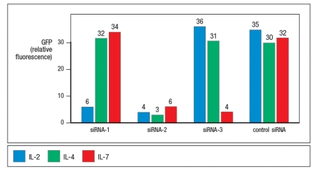 <strong>To identify genes encoding the receptors for the cytokines IL-2, IL-4, and IL-7, an siRNA screen is performed using purified T lymphocytes. To identify siRNAs that knock-down cytokine receptor expression, the T cells have been transfected with a construct that produces green fluorescent protein (GFP) when any one of these three cytokines is used to stimulate the cells. When the screen is completed, several different siRNAs have been identified that substantially reduce the T cells ability to respond to these cytokines as shown in Figure . A correct statement regarding these data is:</strong> A) siRNA-1 and siRNA-3 target subunits of the IL-2 receptor but siRNA-2 does not. B) siRNA-2 targets a shared subunit of all three receptors, whereas siRNA-1 and siRNA-3 do not. C) siRNA-3 targets a subunit of the IL-7 receptor, but the other two siRNAs do not. D) siRNA-2 and siRNA-3 do not target a subunit of the IL-2 receptor. E) siRNA-2 targets a subunit shared by all receptors in the hematopoietin receptor superfamily.