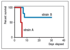 <strong>Two strains of mice were infected with 5 \times 10<sup>4</sup> PFU of Influenza A virus, and the survival data shown in Figure were obtained. Next, both strains were infected again with Influenza A, and levels of type I interferons (IFN- \alpha and IFN- \beta ) were measured and found to be similar between the two strains. Likewise, cells from both strains expressed similar levels of the IFN- \alpha / \beta receptor (IFNAR). Which of the following proteins might be more highly expressed in strain B than in strain A following Influenza A infection?</strong> A) MHC class I B) Mx-1 C) TLR4 D) Complement C3 E) ICAM-1