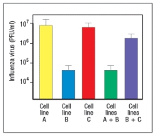 Influenza virus infects and replicates in airway epithelial cells. This virus has a segmented single-stranded RNA genome. Experiments to determine which innate immune sensors were recognizing the virus and inducing production of type I IFNs (IFN- \alpha and IFN- \beta ) were performed. For these studies, mice were infected with Influenza A virus by the intranasal route, which leads to a potent infection in the lungs. Two days post-infection, Type I IFNs were measured in the lung; A shows the results. a) Name two innate sensor categories that are likely involved in recognizing influenza virus. b) A common symptom of virus infections is fever. Which innate receptor sensing pathway is most likely responsible for this response, and how is it induced? Several cell culture lines of epithelial cells, called Cell Line A, B, or C, are incubated with 10<sup>4</sup> infectious particles of influenza virus, and viral titers in the culture media are measured 2 days later. Looking at the results of this experiment, it is apparent that the three lines do not all show the same response to the virus. To investigate these differences, mixing experiments are performed, where cells from two different cell lines are mixed together at a 1:1 ratio before the Influenza infection. c) Based on the results shown in Figure , propose an explanation for these data.