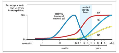 Infants and young children with deficiencies in specific complement components present with recurrent respiratory infections caused by extracellular bacteria. The peak age of susceptibility is between 6 and 12 months after birth. At this time, as shown in Figure , maternal antibodies acquired by the child during fetal gestation are nearly gone, but the child is not yet generating robust antibody responses to new infections, as indicated by the low circulating levels of IgG and IgA. As children with this immunodeficiency get older, they outgrow this disease and show no further evidence of these recurrent infections. Based on this information, name one likely gene deficiency (in the complement system) that could cause this primary immunodeficiency, and the specific complement pathway likely to be affected. Explain your answer.