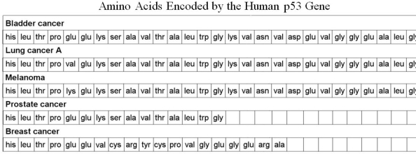 <strong>Table 8.3 Amino Acids Encoded by the Human p53 Gene Based on the information in Table 8.3, prostate cancer is probably the result of which kind of mutation?</strong> A) frameshift B) nonsense C) analog D) missense E) None of the answers is correct.