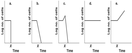 <strong>Figure 7.2 Assume 109 E. coli cells/ml are in a flask. Which graph in Figure 7.2 best depicts the effect of placing the culture in an autoclave for 15 minutes at time x?</strong> A) a B) b C) c D) d E) e