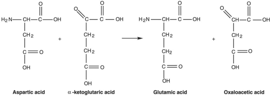 Figure 5.2   What type of reaction is in Figure 5.2?