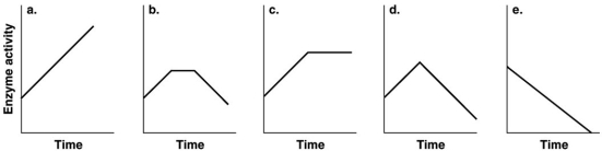 Figure 5.5 Which of the graphs in Figure 5.5 best illustrates the activity of an enzyme that is saturated with substrate?