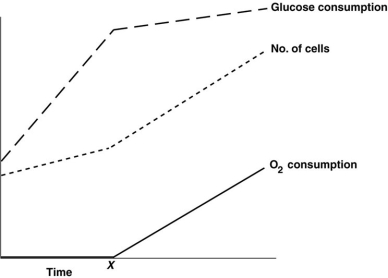 Figure 5.6 The rates of o<sub>2</sub> and glucose consumption by a bacterial culture are shown in Figure 5.6. Assume a bacterial culture was grown in a glucose medium without o<sub>2</sub>. Then o<sub>2</sub> was added at the time marked X. The data indicate that