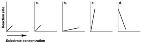Figure 5.7 The graph at the left in Figure 5.7 shows the reaction rate for an enzyme at its optimum temperature. Which graph shows enzyme activity at a higher temperature?