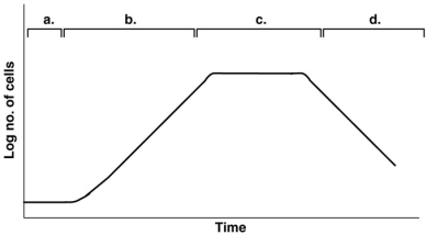 <strong>Figure 28.1 In Figure 28.1, assume the cells are producing penicillin which is collected during the idiophase. Remember, the top lines/markings indicate the different phases observed in the curve below them. When would you be able to collect the penicillin?</strong> A) a B) b C) c D) d