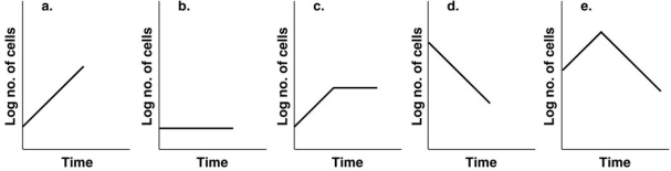 <strong>Figure 28.3 Figure 28.3 shows the growth curves of Acetobacter under different conditions. Which culture would produce the highest amount of the primary metabolite acetic acid?</strong> A) a B) b C) c D) d E) e