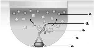 <strong>Figure 18.1 Which component in Figure 18.1 came from the patient in this indirect ELISA test?</strong> A) a B) b C) c D) d E) e