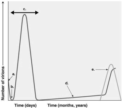 <strong>Figure 13.2 Assume a patient had chickenpox (human herpesvirus 3) as a child. Which line on the graph in Figure 13.2 would show the number of viruses present in this person as a 60 -year-old with shingles (human herpesvirus 3)?</strong> A) a B) b C) c D) d E) e