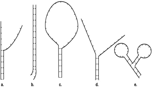 <strong>Figure 10.2 A nucleic acid hybridization experiment produced the following results. In Figure 10.2, which figure shows the most closely related organisms?</strong> A) a B) b C) c D) d E) e