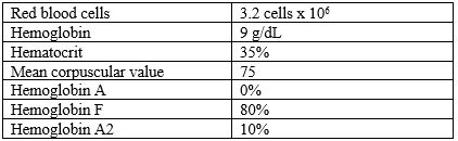The complete blood count with differential of a client who complains of weakness shows the following. Which red blood cell disorder has the client developed? 1) Alpha thalassemia 2) Sickle cell anemia 3) Beta thalassemia 4) None of the above