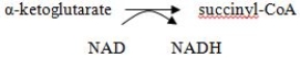Vitamins - One-sentence Descriptions: For each vitamin listed below,indicate: (1)the active form of the vitamin, (2)the general function of the vitamin,and (3)an example of the general function (this could be a specific reaction or simply indicate a pathway/ process where it occurs).An example is provided; as you can see,your answers do not need to be long!??Vitamins: Biotin,pantothenate,riboflavin,vitamin B₆,thiamin,vitamin C,folate Example: Niacin (1)NAD(H)or NADP(H) (2)Oxidation-reduction reactions (3)TCA cycle reaction or…