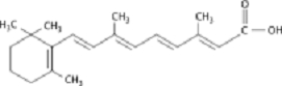 <strong>Instructions: Use the molecules below to answer the next three questions. A) B) C) D) Which molecule is β-carotene?</strong> A)A B)B C)C D)D