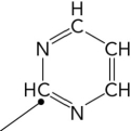 <strong>Which of the following is the precursor of the indicated carbon atom in a pyrimidine ring? </strong> A) aspartate B) glycine C) carbamoyl phosphate D) orotate