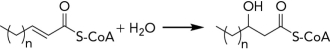 <strong>What enzyme class catalyzes the following reaction? </strong> A) ligase B) hydratase C) transferase D) oxidoreductase