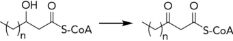 <strong>What enzyme class catalyzes the following reaction? (Note that there may be some missing reactants and products.) </strong> A) lyase B) hydrolase C) transferase D) dehydrogenase