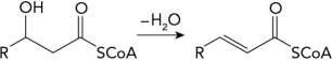 <strong>What enzyme catalyzes the following fatty acid synthesis reaction? </strong> A) fatty acid synthase B) fatty acyl-CoA synthetase C) fatty acyl-CoA dehydrogenase D) acetyl-CoA carboxylase