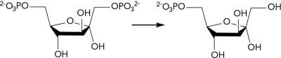 <strong>The gluconeogenesis reaction shown below is missing some reactants and products. What class of enzyme catalyzes this reaction? </strong> A) lyase B) hydrolase C) transferase D) oxidoreductase