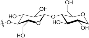 <strong>The image below shows a(n) glycosidic bond. </strong> A) \alpha -1,4- B) \beta -1,4- C) \alpha -1,6- D) \beta -1,6-