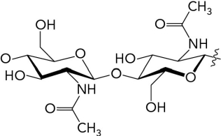 <strong>The image below shows a(n) glycosidic bond. </strong> A) \alpha -1,4- B) \beta -1,4- C) \alpha -1,6- D) \beta -1,6-